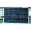 High Quality Solar Cell for China Supplier